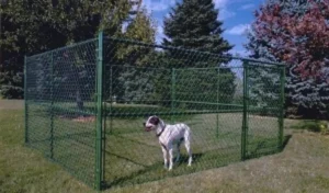 Secure fence for pet dogs in a backyard, designed to keep pets safe while allowing freedom to roam in a protected outdoor space