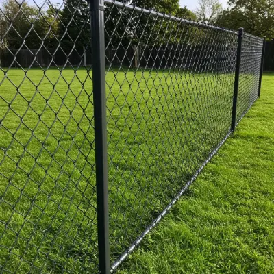 Powder-Coated Chain Link Fencing