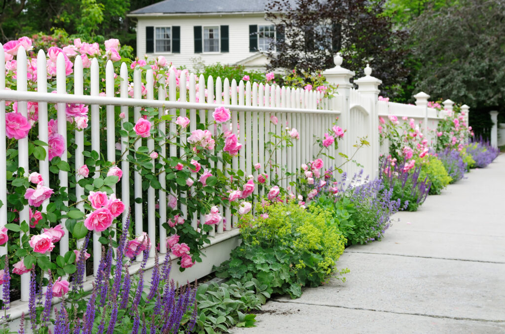 Garden fence with blooming roses in Albany, NY, adding charm to the landscape