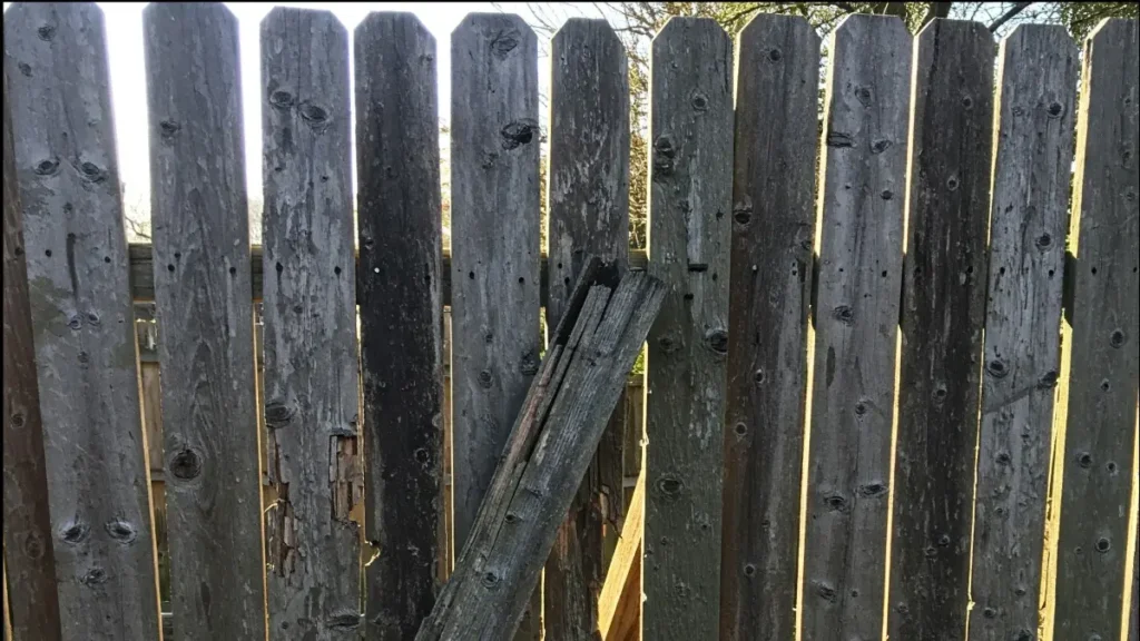 A fence that need to be replaced in a residential property