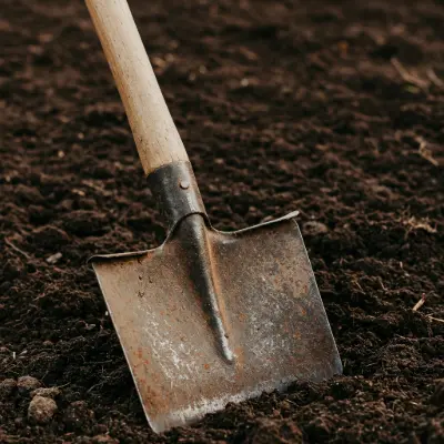 Shovel