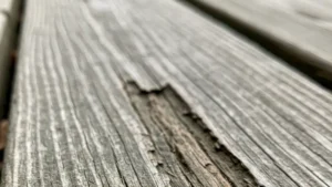 Early signs of deck rot in a outdoor deck
