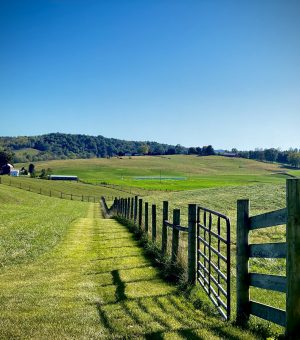 Rolling hills farm fencing